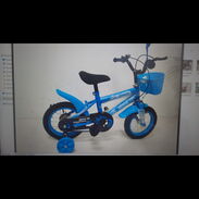 Bicicletas 16 - Img 45527070