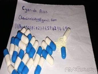 Cyanide and nembutal for a quick painless death(Euthanasia) - Img main-image-45756554