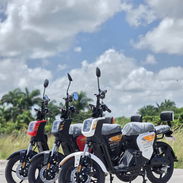Bicimotos Fénix - Img 57772394