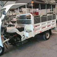 TRICICLO DE COMBUSTIÓN LIFAN 300CC DE CARGA y PASEO 🛺* - Img 57842571