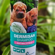 Shampoo Dermisan (Antimicótico) - Img 56190524