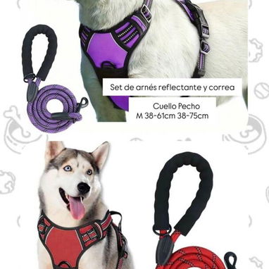 Suministros para mascotas - Img 124968540