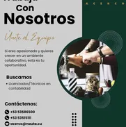 Especialistas y técnicos contables - Img 50554216
