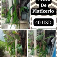 Exelente calidad ✔️ al PV - Img 57870056