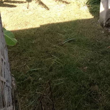 Se vende casa en   bocasiega de mamposteria placa super que Libre con todo andento, con split ,tanques y todo a una cuad - 8/9