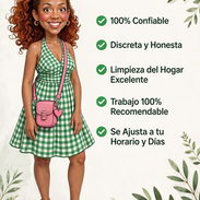 Limpieza del hogar - Img 57697340