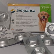 Simparica 20-40kg - Img 55876304