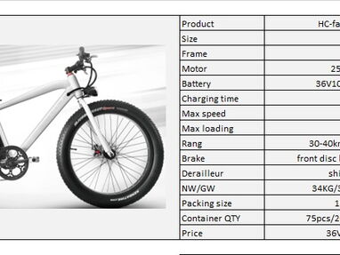 Bicicleta eléctrica marca Lion Fat Biker - Img main-image