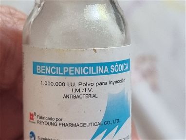 300-Penicilina Cristalina inyección - Img 68527215