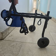 Andador para perros 🐕 - Img 53792005