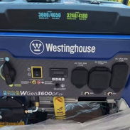 Planta Westinghouse 4650w - Img 57418277