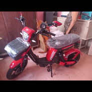 1650bisimotor clor negra - Img 56386321