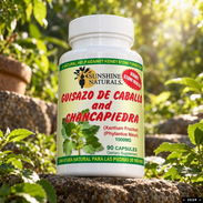 Chanca piedra capsulas - Img 58360306