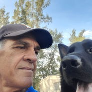 Entrenador de perros - Img 55176812