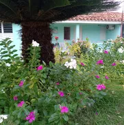 Rente en Viñales 1 habitación climatizada . Llama AK - Img 49213909