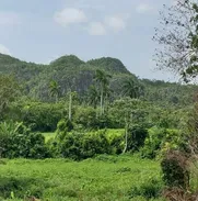 Casa en Viñales, las mejores vistas al valle - Img 48875476