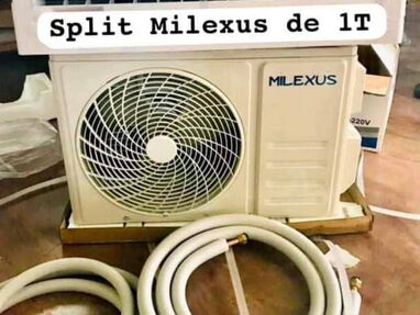 Split milexus - Img main-image