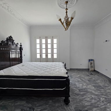 Vedado casa de lujo - 9/10