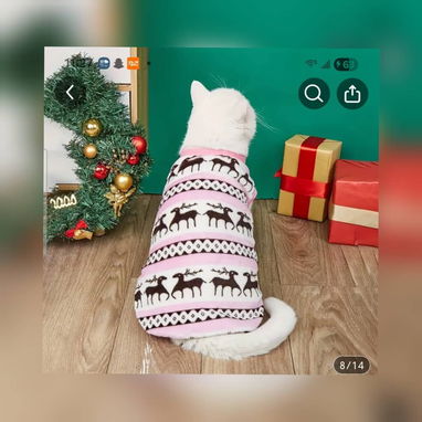 Ropa para Mascota - Img 115001114