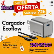 Cargador de ecoflow - Img 56955460