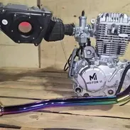 UNIDAD DE MOTOR / 300 CC / NUEVO Y CON PAPELES LISTO PARA LA VENTA / - Img 54333229