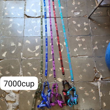 Correas para tus mascotas diferentes tallas y tipos - Img 125190369