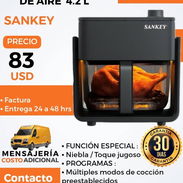 FREIDORA DE AIRE 4.2L SANKEY - Img 55803019