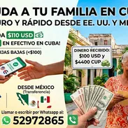 Remesas a Cuba desde Estados Unidos vía zelle al instante 💯 transparente y seguridad - Img 55369829