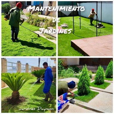 CREAMOS Y DISEÑAMOS JARDINES CON CÉSPED, PLANTAS, PIEDRAS DECORATIVAS, MACETAS Y TODO LO QUE USTED DESEE. JARDINEROS - Img 106929870