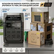 EcoFlow - Img 57420308