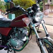Moto Suzuki - Img 45781700