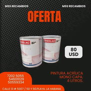 🎨✨ ¡Renueva tus espacios con color y calidad! ✨🎨  Transforma cualquier superficie con nuestra Pintura Acrílica Monocap - Img 54976424