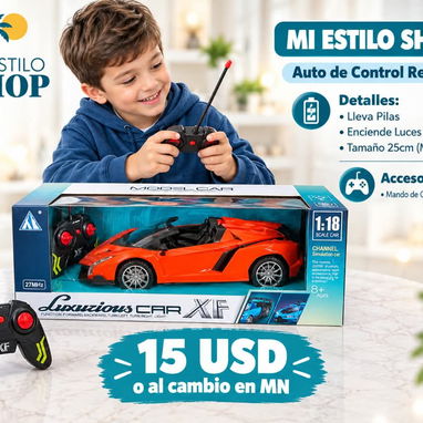 Auto de Control Remoto - 2/4