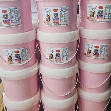YOGURT PROBIÓTICOS 4/L DE CUAGULO - 2/3