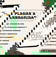 ¡Elimina las plagas y protege tu hogar con SHIN CHANCE! (Kinetica) - Img 49500082