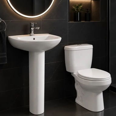 tasa dé baño Monolítica y tradicional con su herraje completo junta de cera y tapa sanitaria en caja 💯% calidad - 5/6
