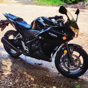 HONDA CBR 250R - Img 55768569