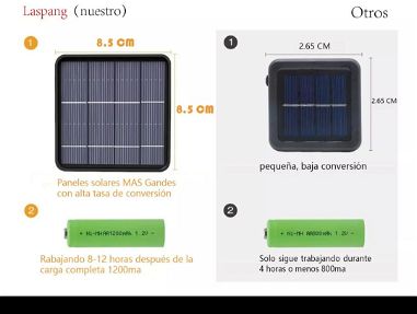 Guirnaldas solares - Img 67011334