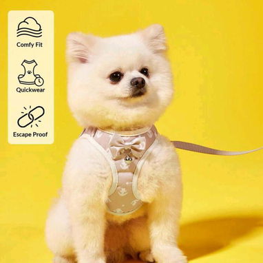 Productos para mascotas - Img 119748048