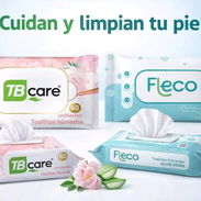 Toallitas húmedas Fleco Aloe de Vera y TB Care jazmín 60u (Caja x 48u) - Img 54202016