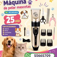 Para el cuidado de tu mascota 🐕. - Img 57537648