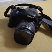 Canon - Img 55771286