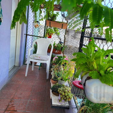SE VENDE BIPLANTA EN LA VIBORA - Img 123645297