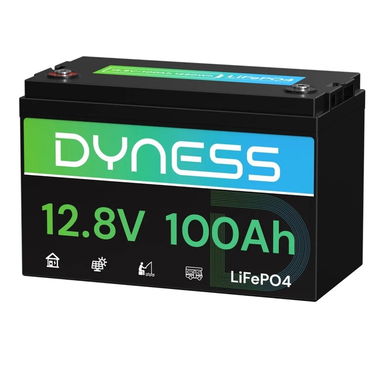 Batería de litio Dyness 12.8 V 100Ah - 2/2