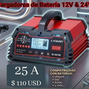Cargador inteligente para todo tipo de bateria - Img 55541967