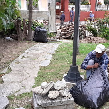 jardinería servicios, diseños y mantenimientos - Img 121773646