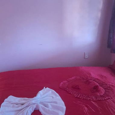 Se rentan habitaciones en casa en Viñales. 54026428 - 5/10