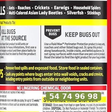 Raid spray para hormigas y cucarachas 17.5 oz - 2/3