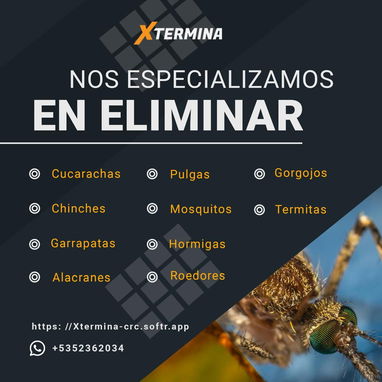 FUMIGADOR-CONTROLADOR DE PLAGAS-EXTERMINADOR. FUMIGACIÓN DE chinche cucaracha garrapatas mosquitos ratones moscas - Img 115452981