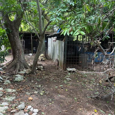 Casa con piscina en Reparto de los Rusos - 10/10